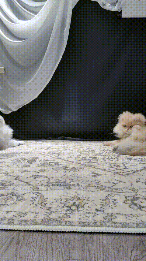 (7)_p20.gif