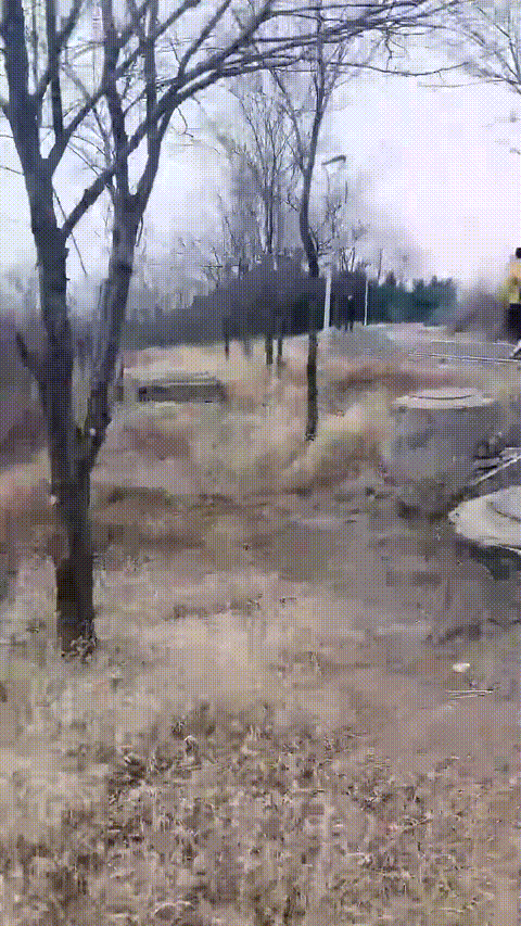 V (2)_p20.gif