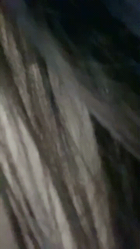 黑崎_懵懂少女_20260304_144626_p20.gif