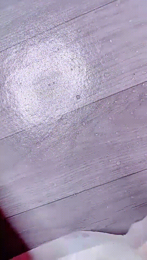 1 (8)_p20_compressed.gif
