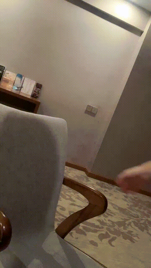 #大屁股猪猪