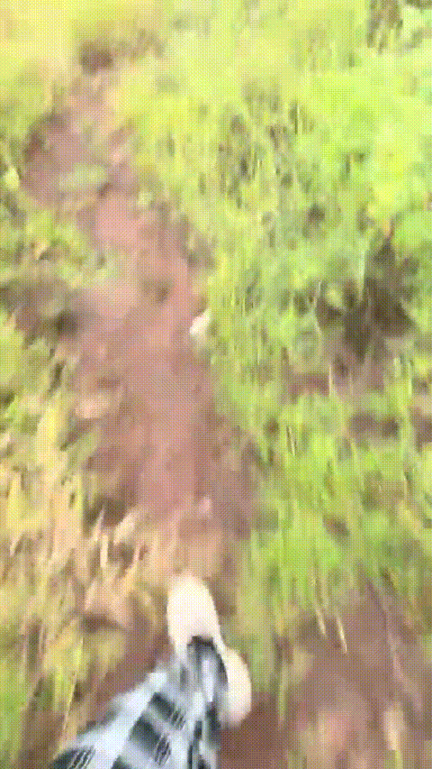 爱液随风起_农村大学生主播_户外喷水直播合集27部_2_p20_compressed.gif