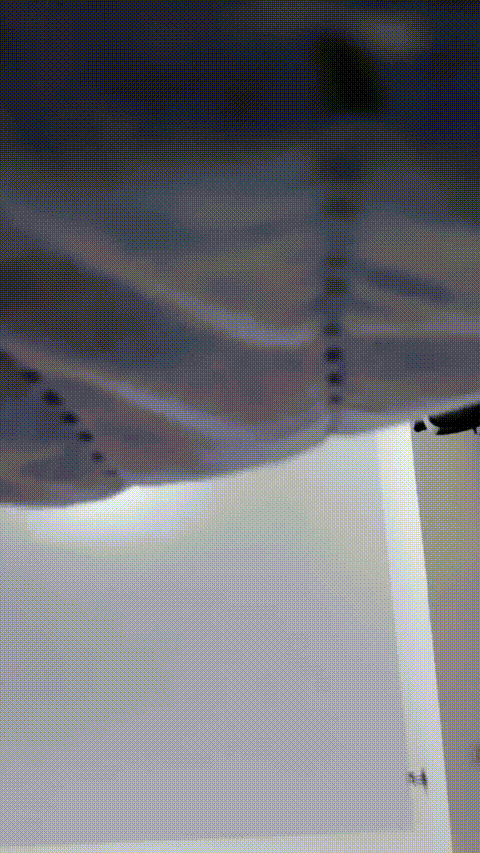 一只然_20260213_133055_p80.gif