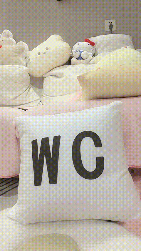 奶啵啵儿_20260217_184244_p60.gif