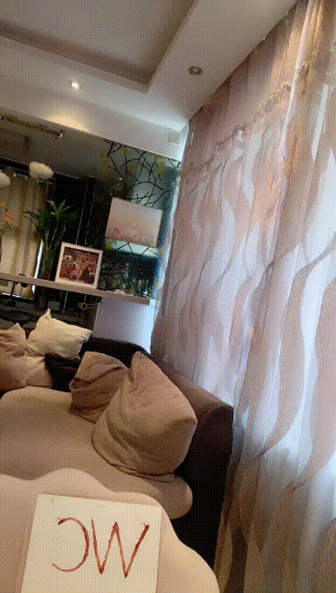 vlc_record_2023_06_03_12h12m12s_cx___p80.gif