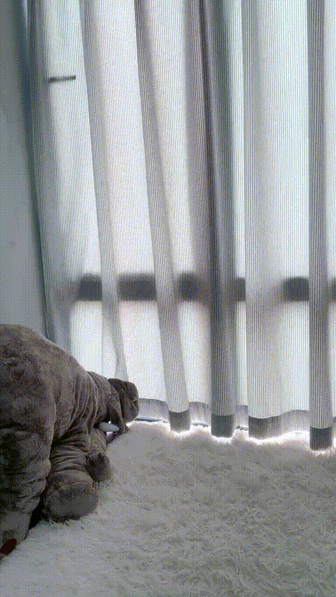vlc_record_2023_06_16_13h44m39s_rtmp_pullep6t9z91gg_lyjinaojixie_p5.gif