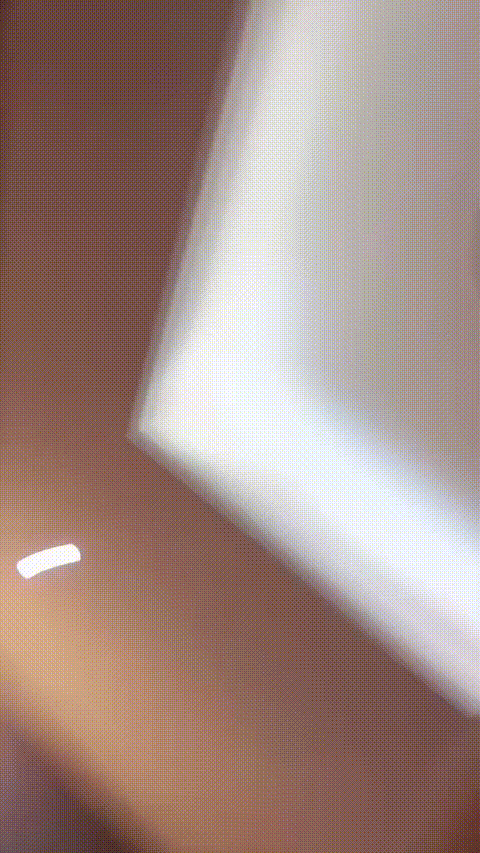仙鹤1128_20260201_110143_p60_compressed.gif
