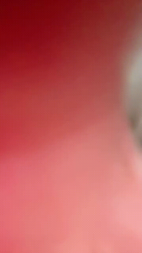 黑崎_懵懂少女_20260304_144556_p80_compressed.gif