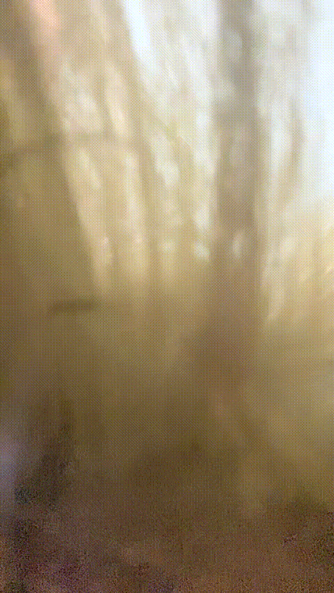 20035379_少萝_05_p40_compressed_compressed.gif