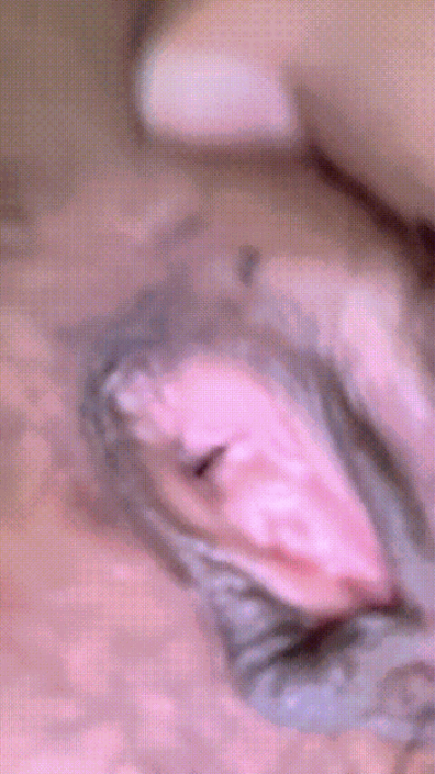VID_20231005_141235_606_p80.gif