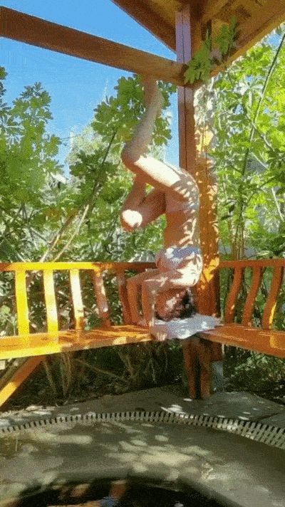 4d9768106c2d83aca4595 (2).gif