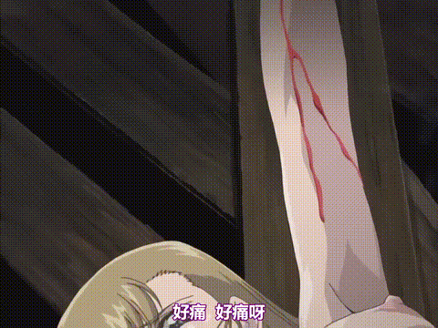 ハイヌウェレ_収穫の夜_第一話_薔薇と雛罌粟_中文字幕_p80.gif