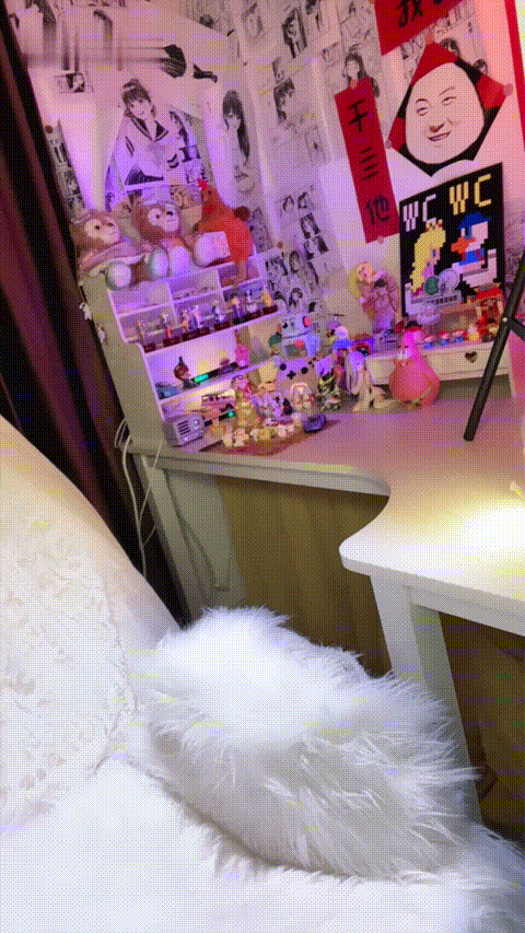 十六夜_20260209_231149_p60.gif