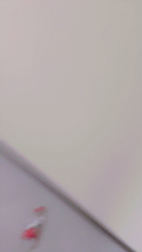 V (1)_p80.gif