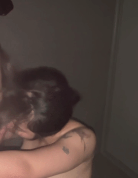 5.gif