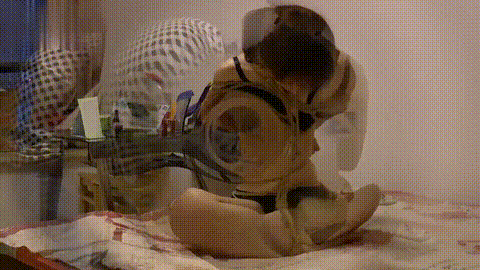 美束映画 定制女神橘子暖心回归 下集_p40.gif