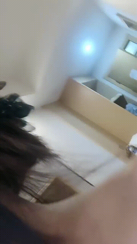 崽崽 2009788869_20251020-053820 01_04_29-_p20_compressed.gif