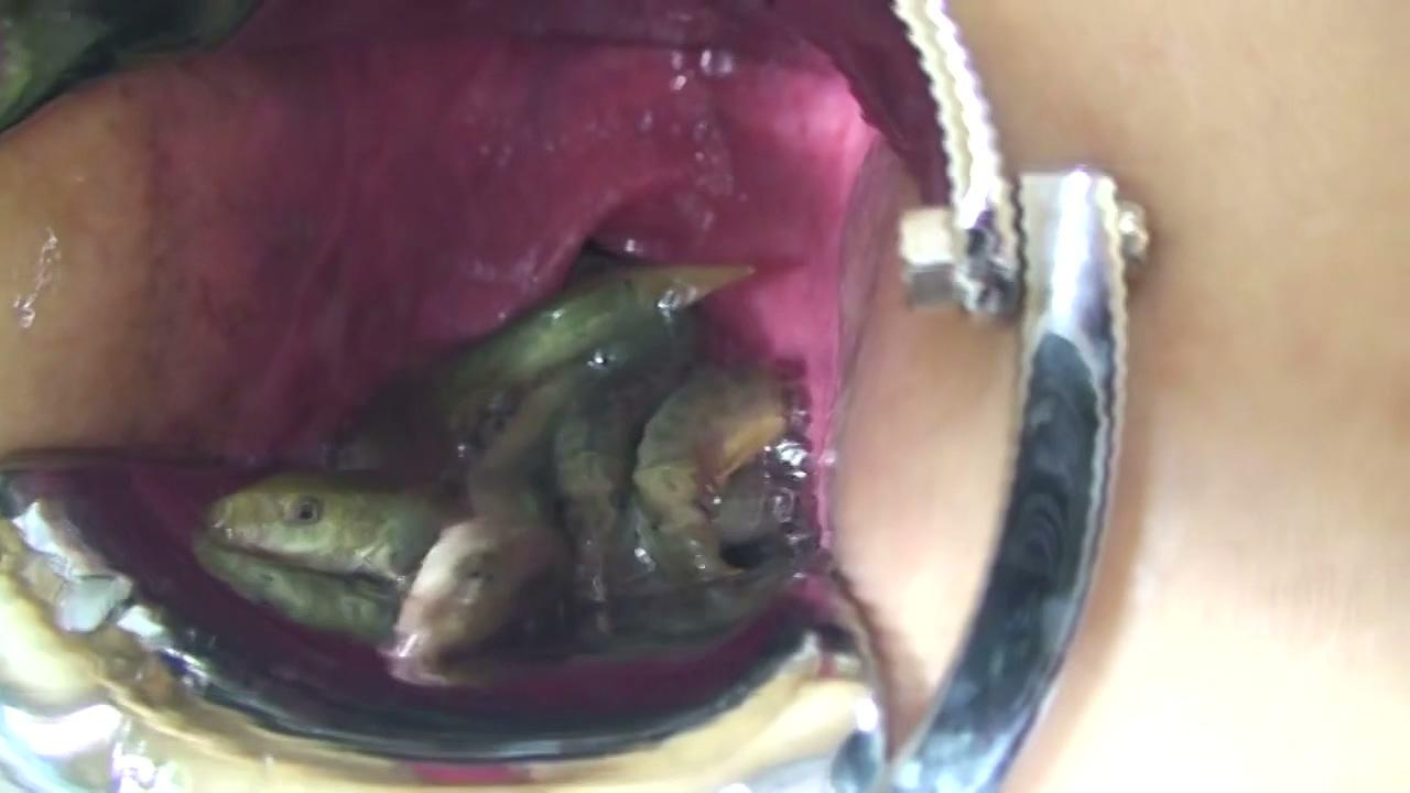 重口扩阴，肛门灌泥鳅并观察泥鳅在直肠里的样子 2V.mp4_20260521_114947.089.jpg.jpg