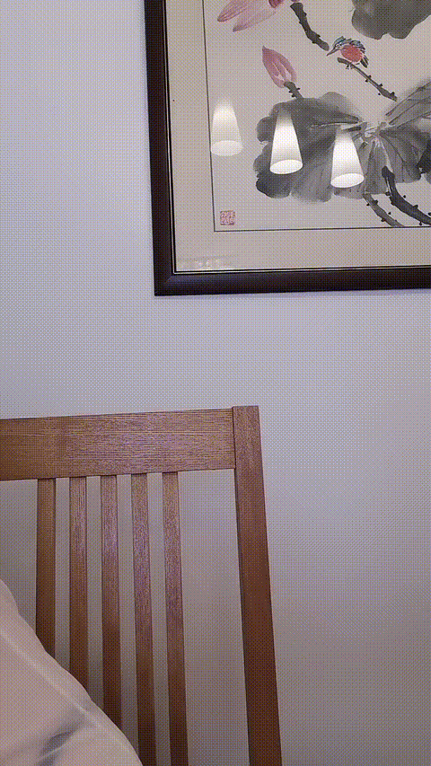 胸大大_20260208_124728_p20_compressed.gif