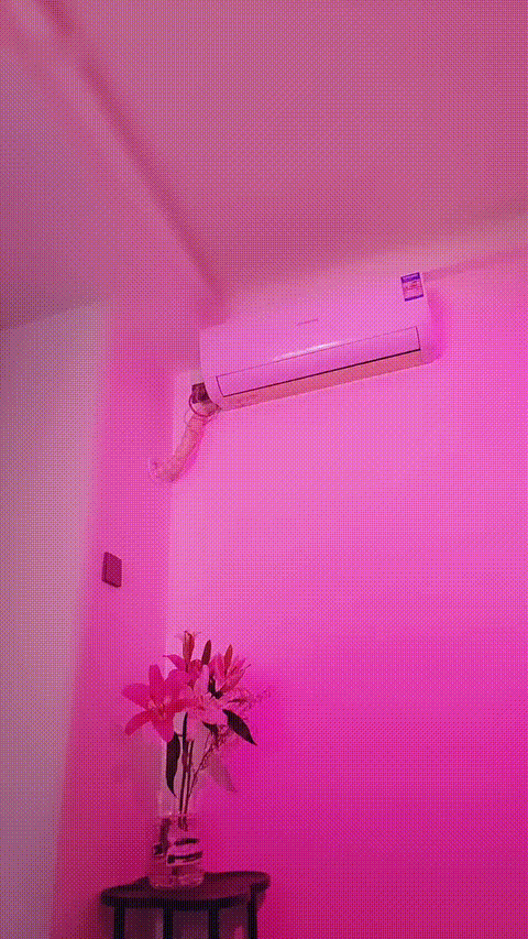 纯情小慧 591369473_ 1231-014404_p5.gif