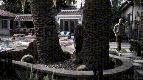 Out Of Our System_p5.gif