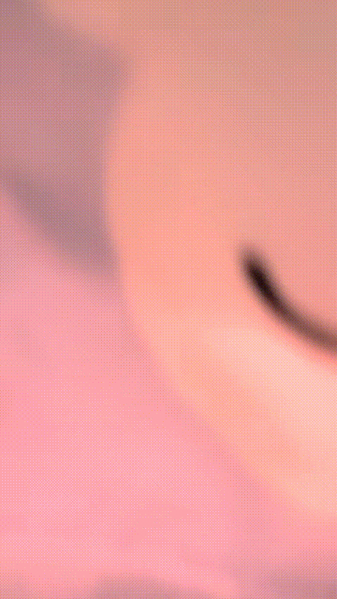 VID_20230914_023341_722_p80_compressed.gif