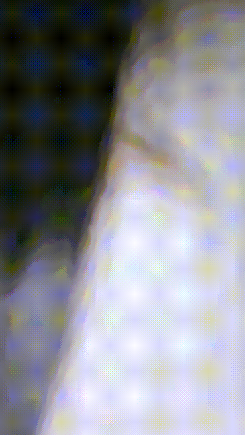井川里予_20260209_141733_p5.gif