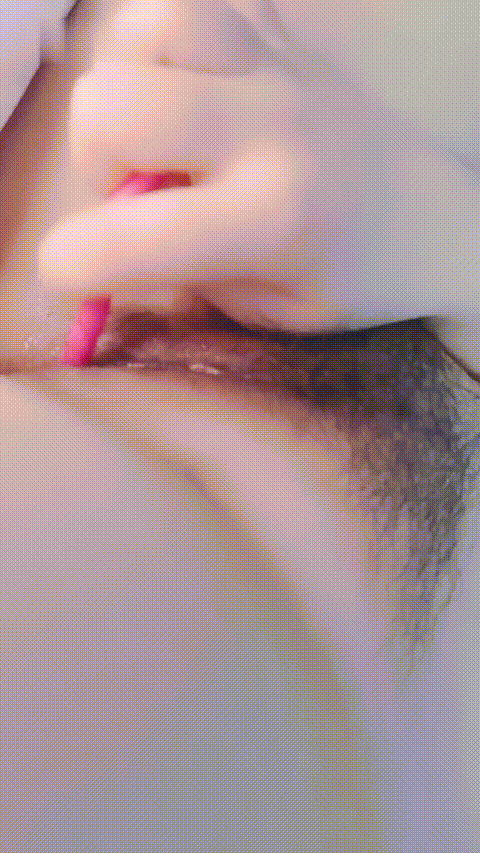 苹果柿子梨_20260209_001348_p40_compressed.gif