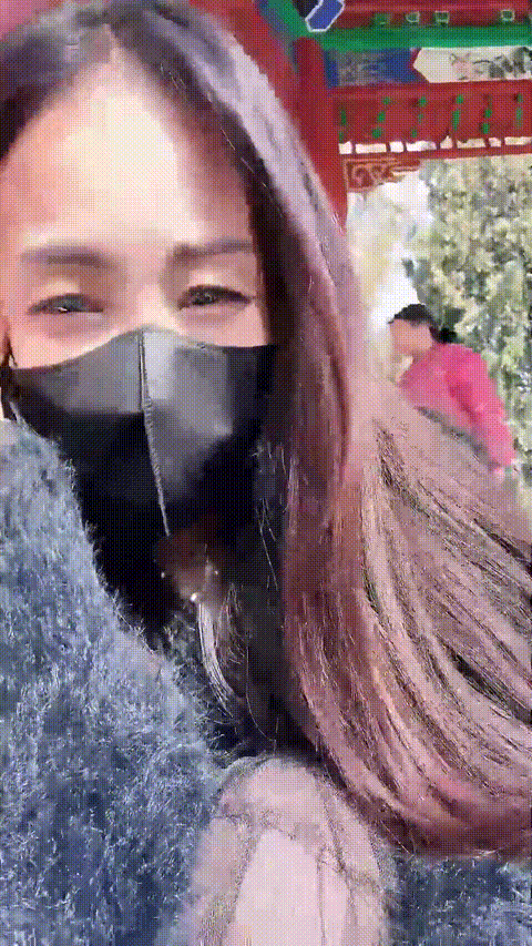 V (4)_p60_compressed.gif