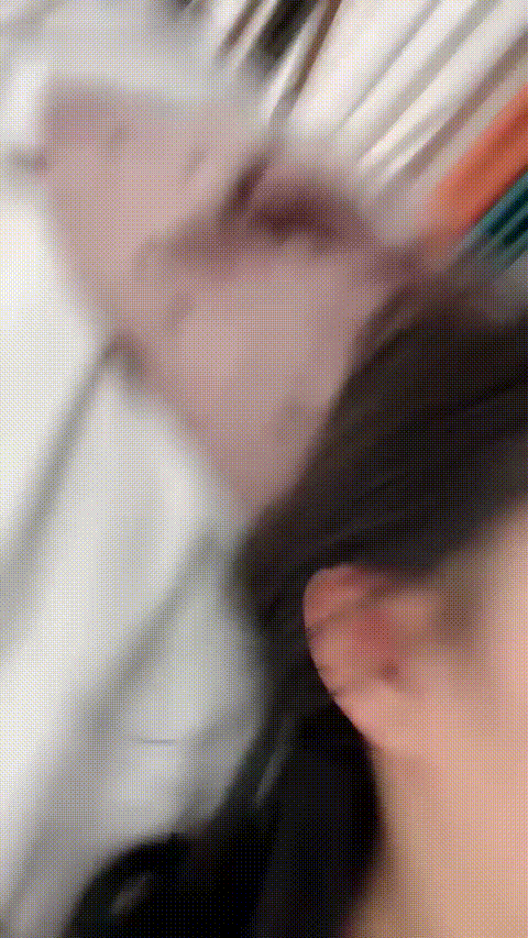 纯纯籽_20260220_014326_p60_compressed.gif