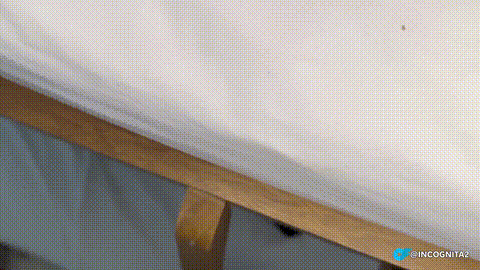 I fuck my roommate naked on a bed_p5.gif