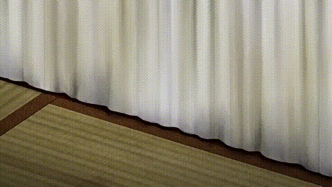 令人心动的小小房东小姐1_p20.gif