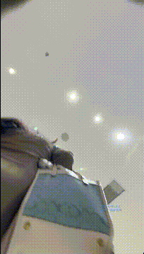 d2208.gif