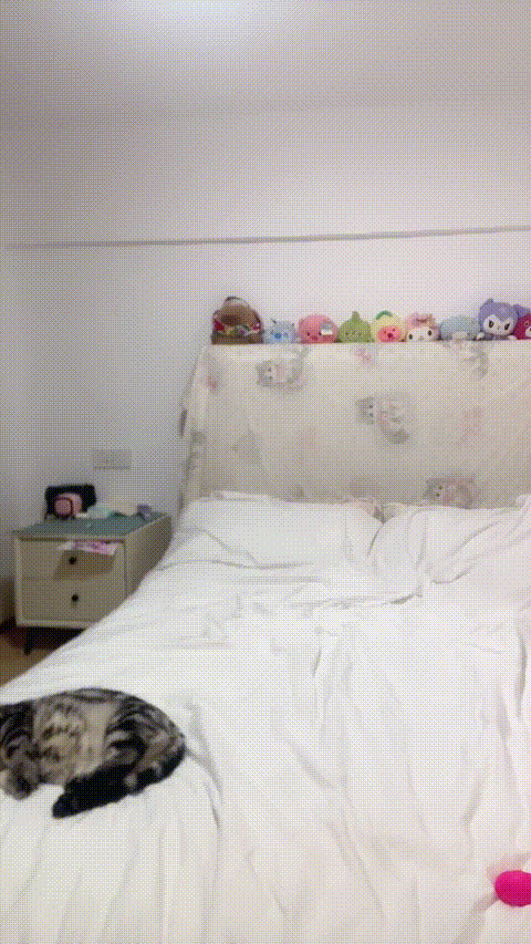 仙鹤1128_妮可_20260209_120724_p5.gif