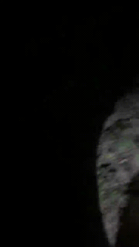爱液随风起_农村大学生主播_户外喷水直播合集27部_23_p5_compressed.gif