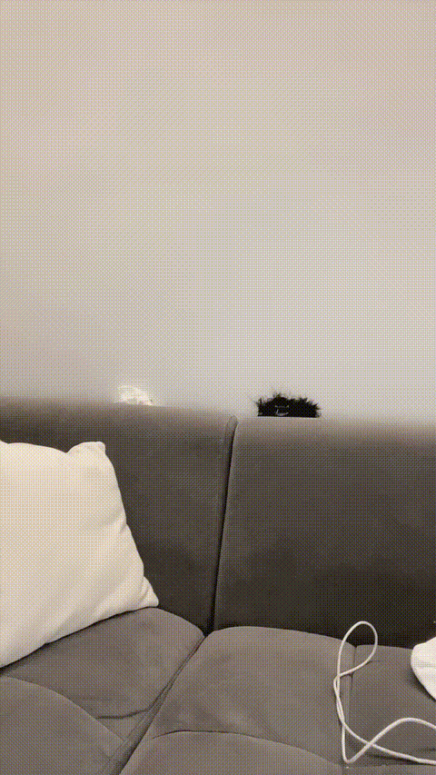 小玉777_20260307_131714_p40.gif