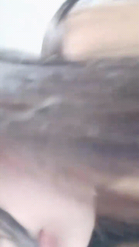 七七_20260216_175653_p80_compressed.gif