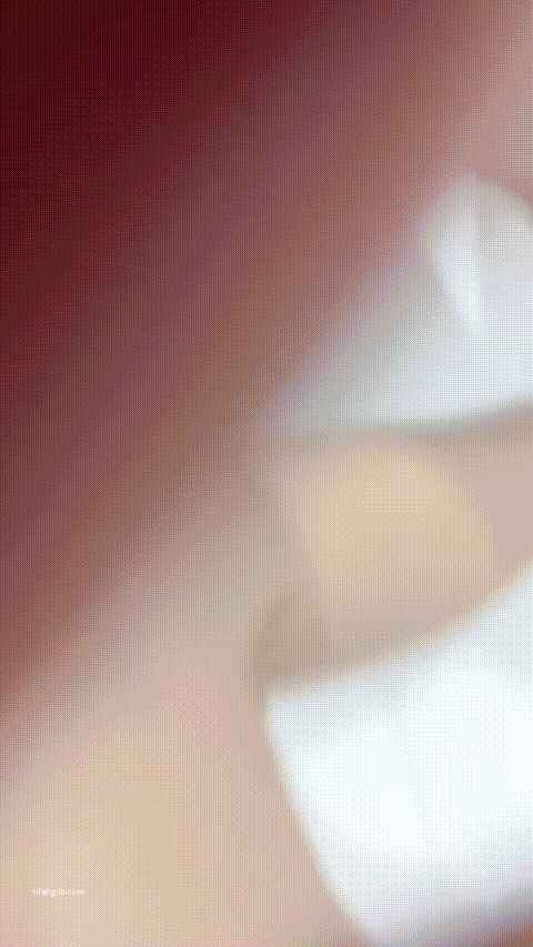 1 (5)_p80.gif