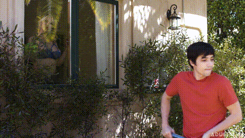 Panefully Shameless_p5.gif