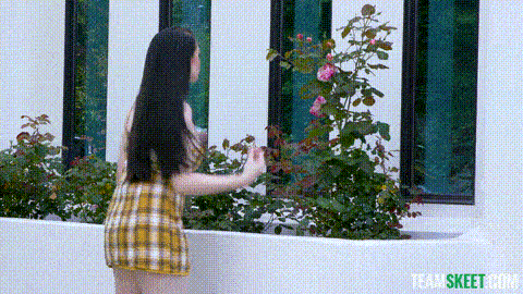 Summertime Blossom_p60 (2).gif
