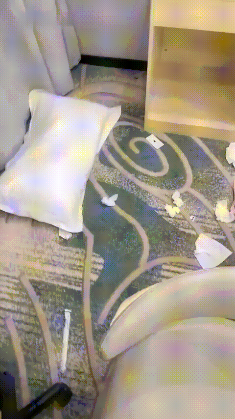 宅ovo_20260210_105242_p40_compressed.gif