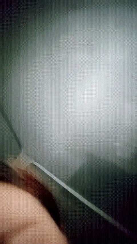 小乖_20260214_103943_p5_compressed.gif