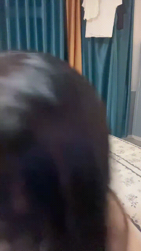 呆呆小羊儿_20260219_150812_p60_compressed.gif