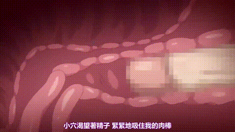 箱入少女_Virgin_Territory_1_箱入少女_Virgin_Territory_上巻「理想のお嬢様中文字幕.gif
