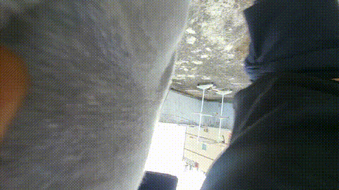 4_p80.gif