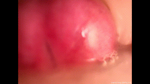 CLOSE UP - NEW HOTTEST CUM COMPILATION! Best PUSSY for Your CUMSHOTS! Multiple C.gif