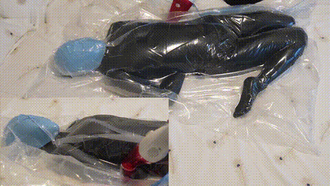 小御真空袋+胶带全包头！极限呐喊呼控 捆绑 调教_p80.gif