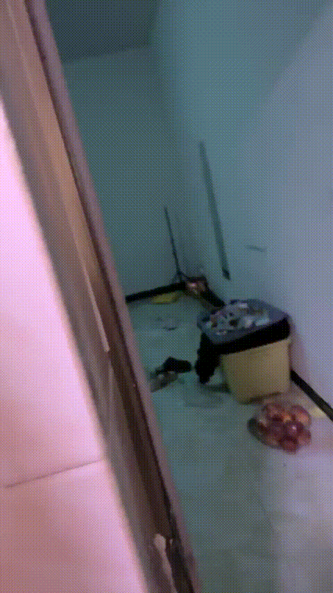 爱液随风起_农村大学生主播_户外喷水直播合集27部_14_p60_compressed.gif