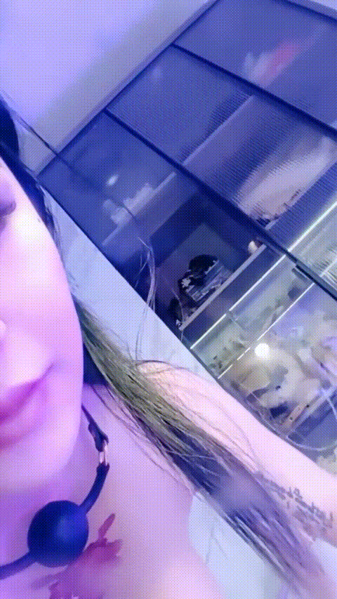 阿尔忒斯蕾_20260208_172112_p80_compressed.gif