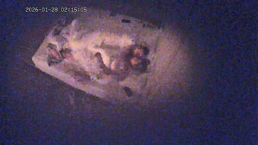 1月30日 (4).mp4_20260131_104926.742.jpg